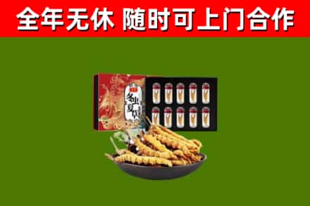 湘阴回收冬虫夏草价格