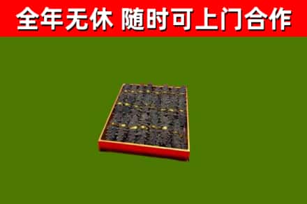 湘阴回收海参